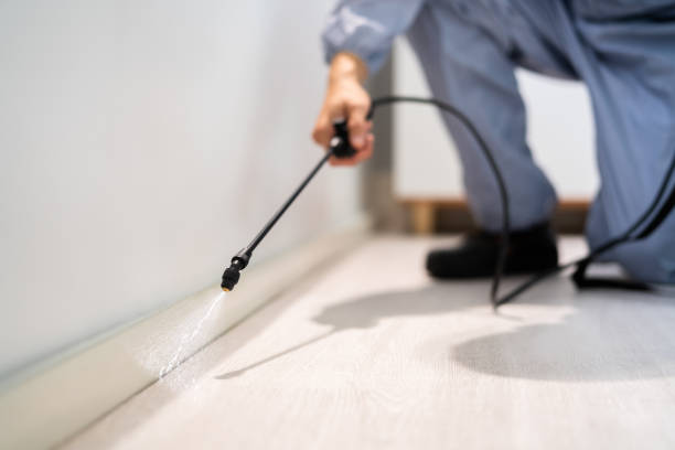 Licensed Termite Control service in Beloit, KS - Nex Pest Control