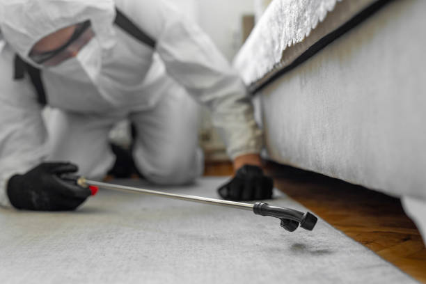 Professional Termite Control technician working in Beloit, KS