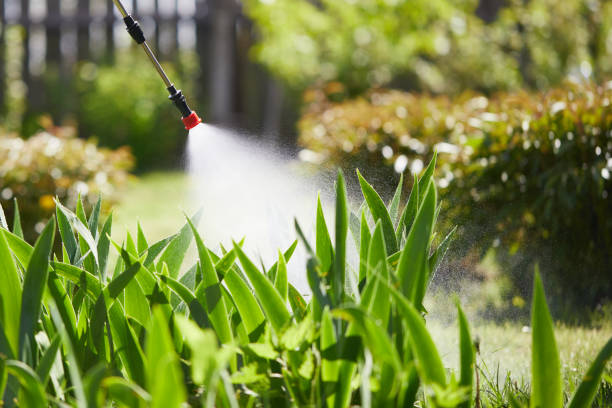 24/7 Emergency Termite Control experts in Beloit, KS